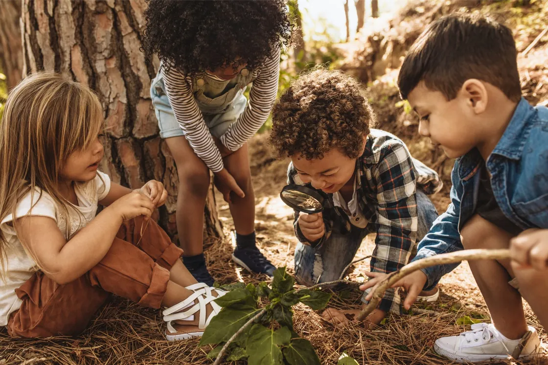 Young children exploring nature together beneath a large tree