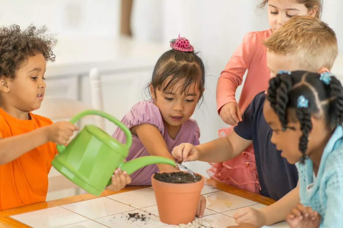 Children watering a plant together at a classroom table